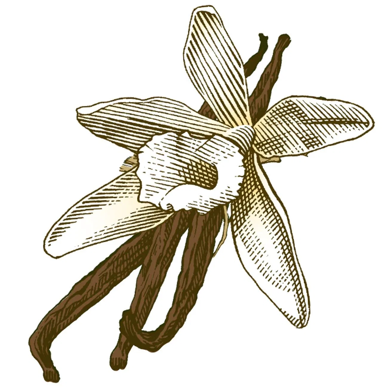 Бальзам для губ Burts Bees Vanilla Bean 4.25 г Burt'S Bees — фото 4
