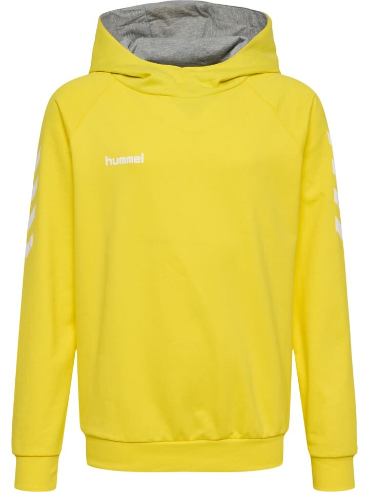 

Худи Hummel Cotton Hmlgo Multisport Kinder, цвет blazing yellow