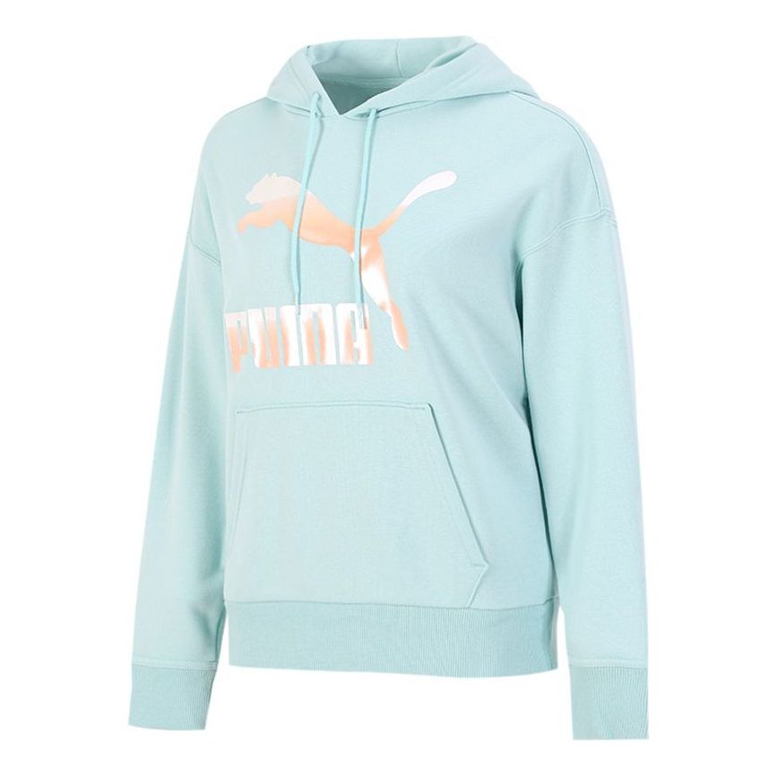 

Толстовка (WMNS) PUMA Classics Logo Printing Hoodie Blue 531385-76