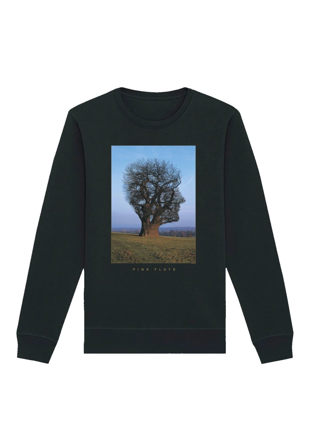 

Толстовка FLOYD TREE HEAD F4NT4STIC, черный
