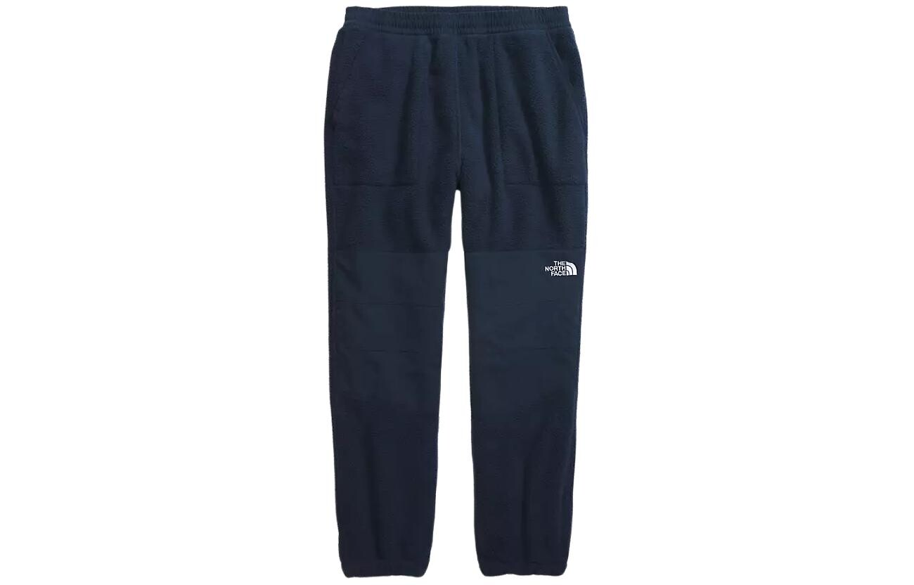 

Повседневные брюки мужские темно-синие The North Face, синий