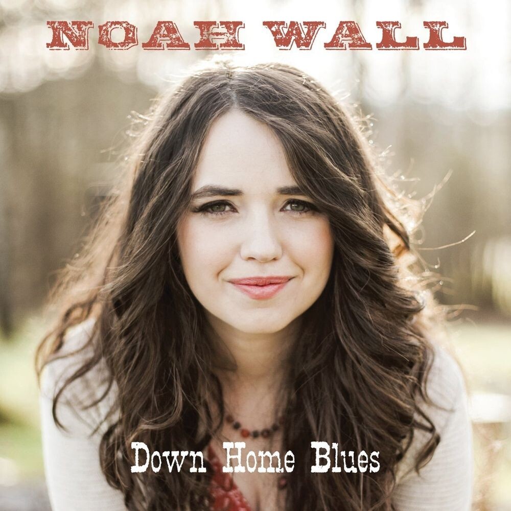 

Диск CD Down Home Blues - Noah Wall