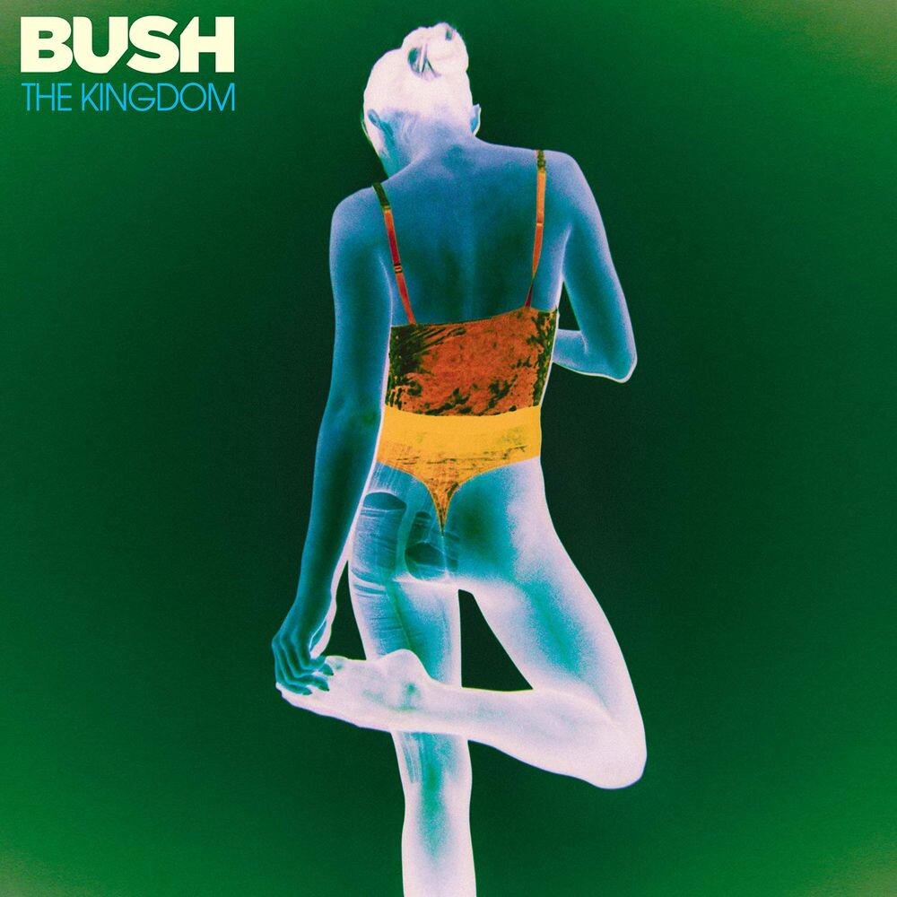 

Виниловая пластинка LP The Kingdom - Bush