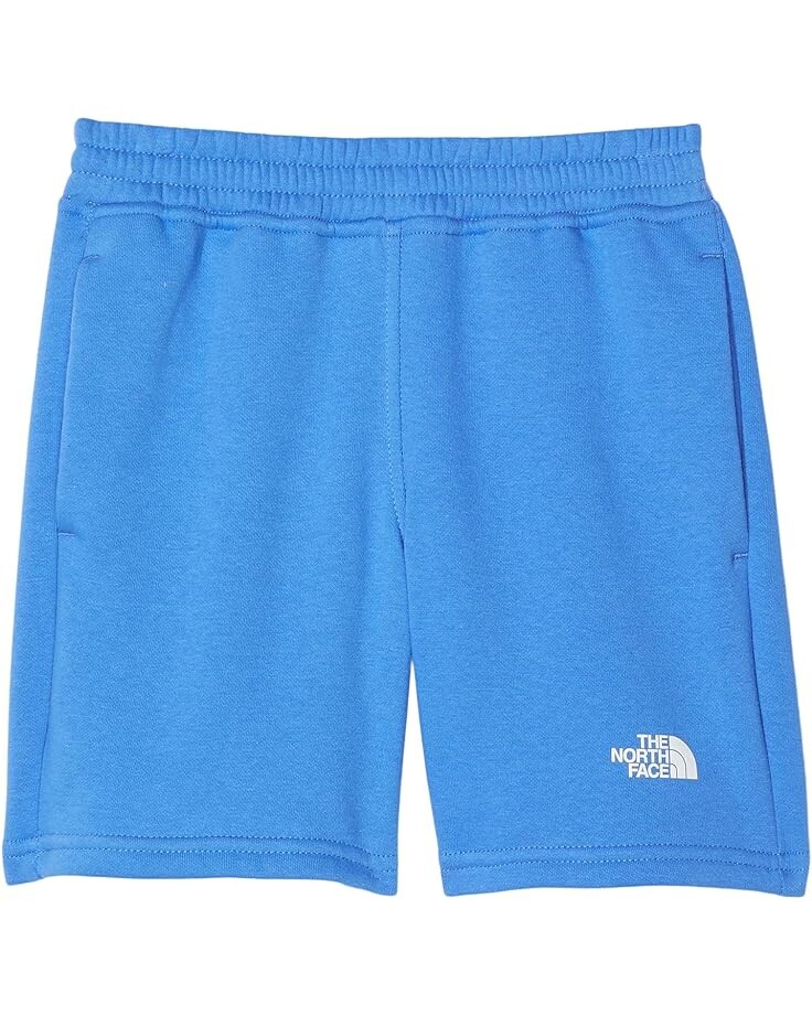 

Шорты The North Face Camp Fleece Shorts, цвет Super Sonic Blue