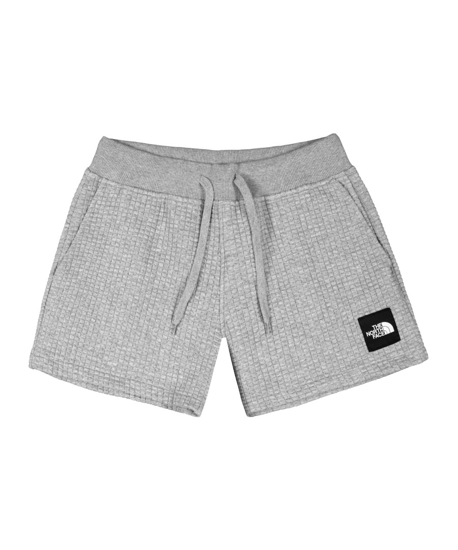 

Обычные брюки THE NORTH FACE, серый