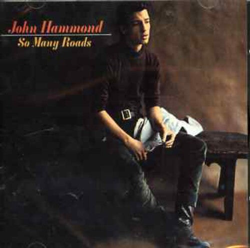 

CD диск Hammond, John: So Many Roads