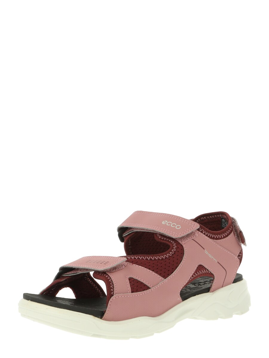 

Сандалии ECCO Sandals Biom Raft, темно-розовый