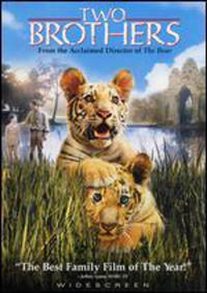 

Диск DVD Two Brothers