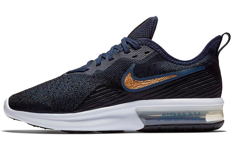 

Кроссовки Nike Air Max Sequent для женщин
