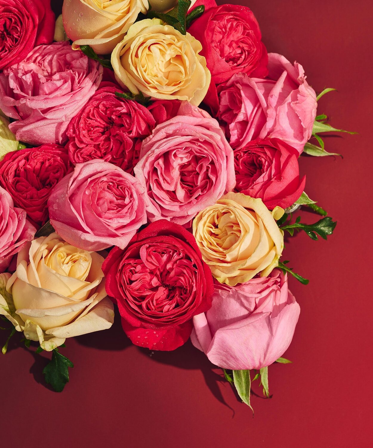 Масло для тела Rose <Лимитированная серия> Jurlique, - — фото 3