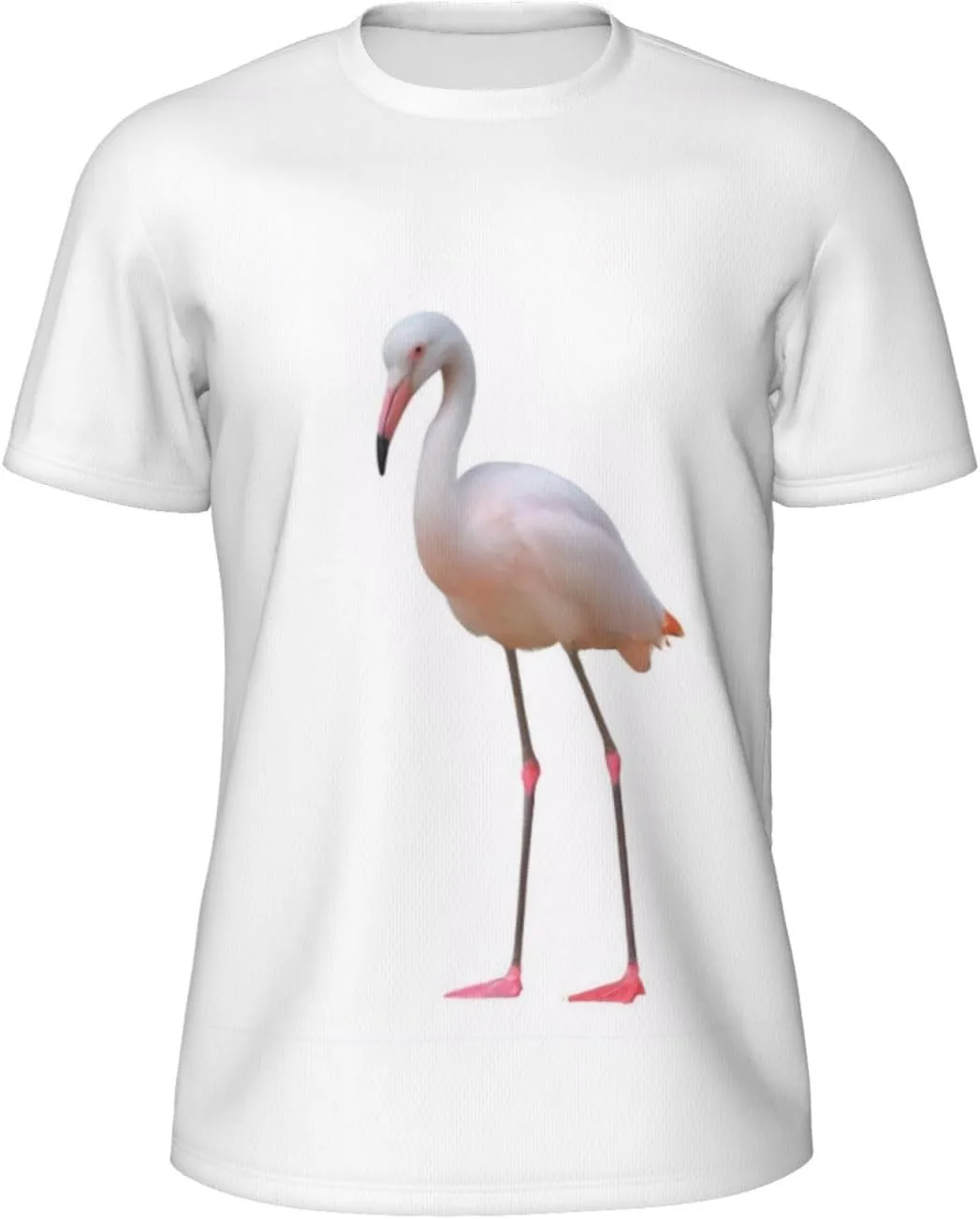 

Футболка мужская Flamingos On White с принтом, короткий рукав jshmgchw