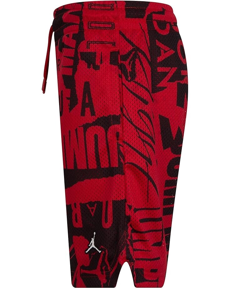 

Шорты Jordan Printed Mesh Shorts, цвет Gym Red