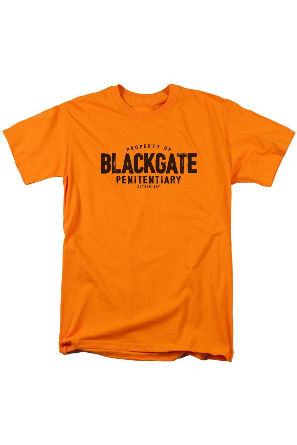 

Футболка Batman Blackgate с коротким рукавом для взрослых Gildan