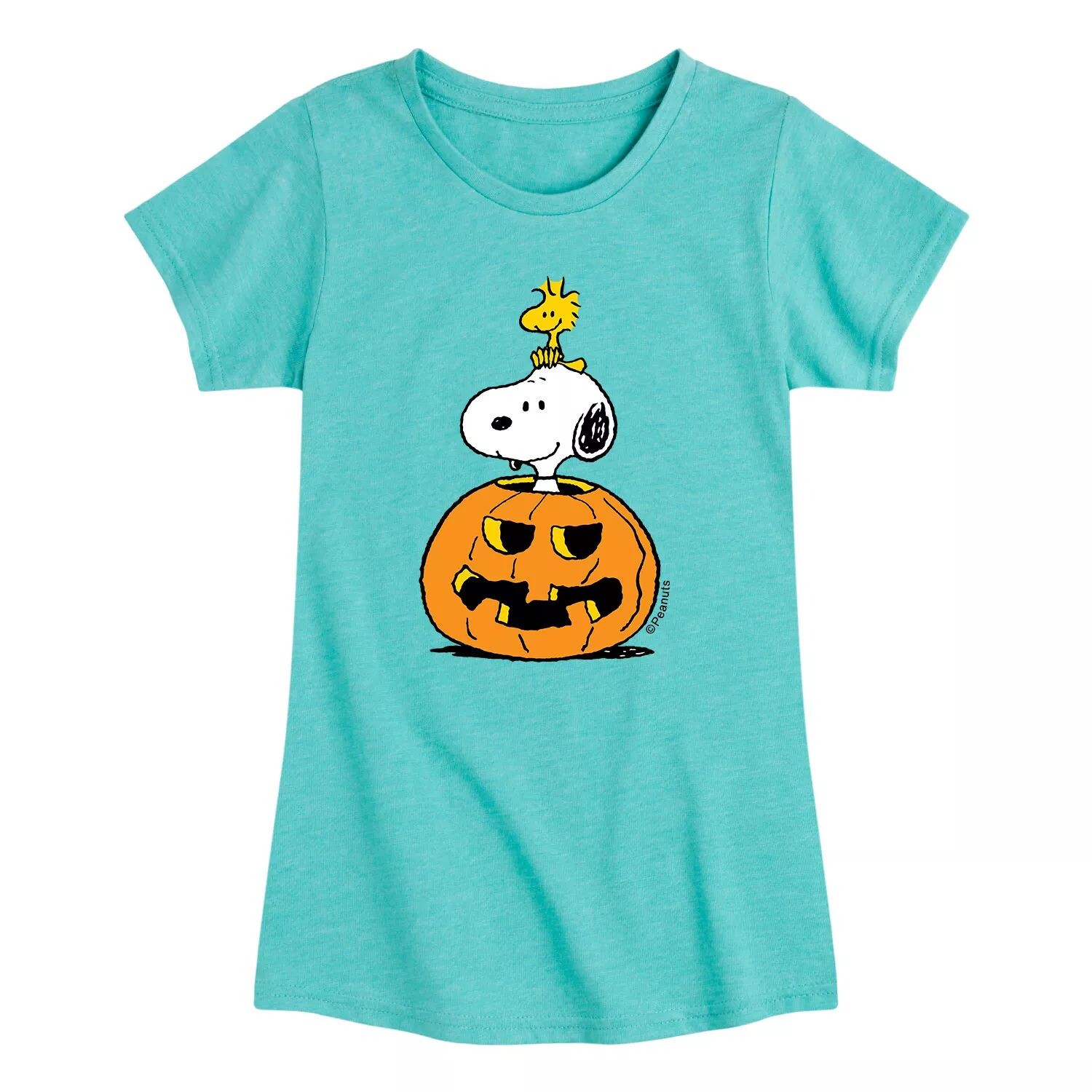 

Футболка с рисунком тыквы «Арахис» для девочек 7–16 лет Snoopy Licensed Character