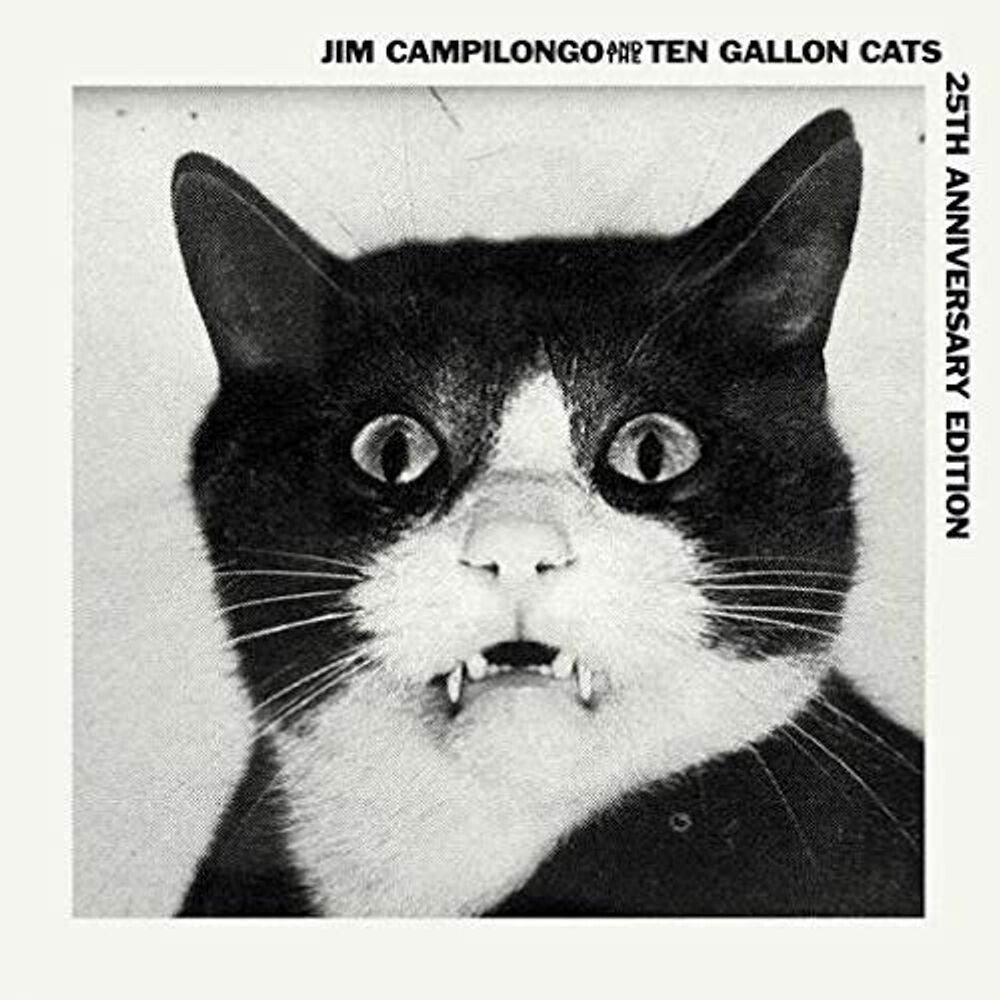 

Виниловая пластинка LP Jim Campilongo & The Ten Gallon Cats [25th Anniversary Edition] - Jim Campilongo & the 10 Gallon Cats