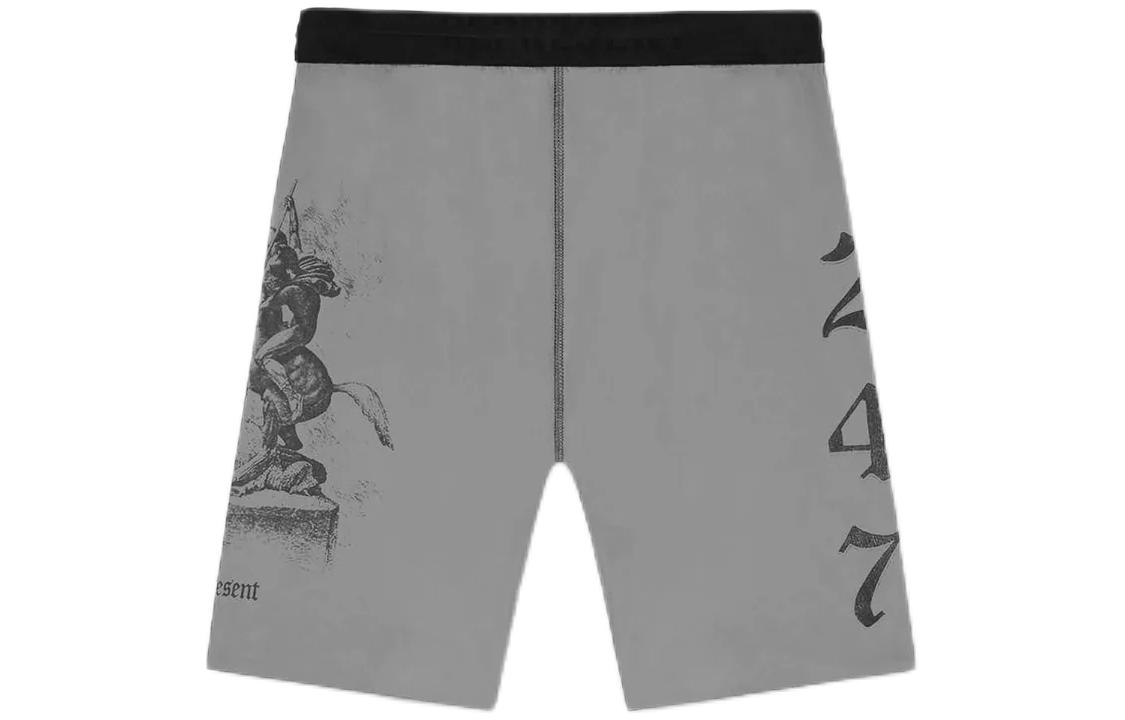 

Мужские спортивные шорты Vintage 247, облегающие, серые REPRESENT, серый