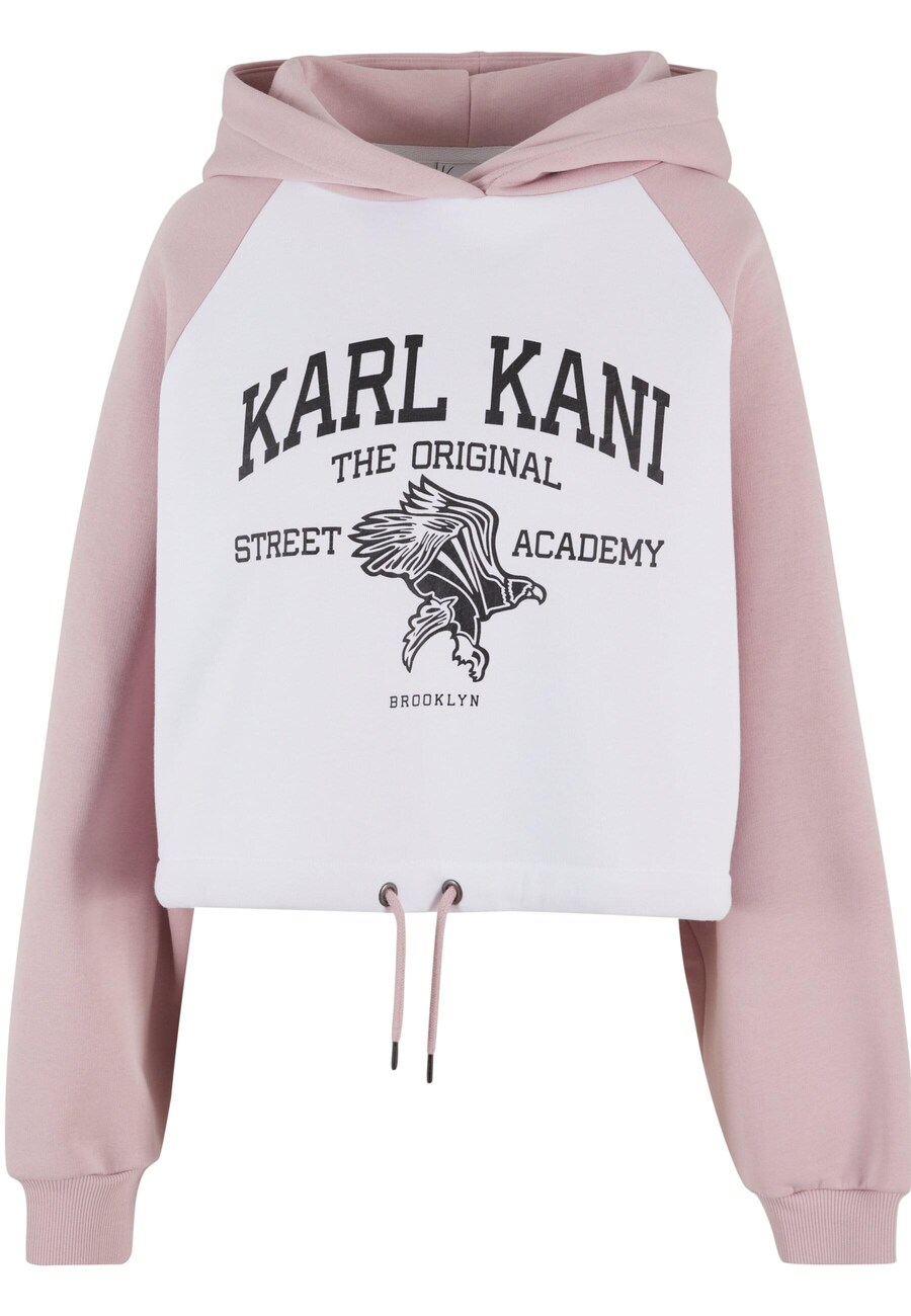 

Толстовка Karl Kani Street Academy, белый