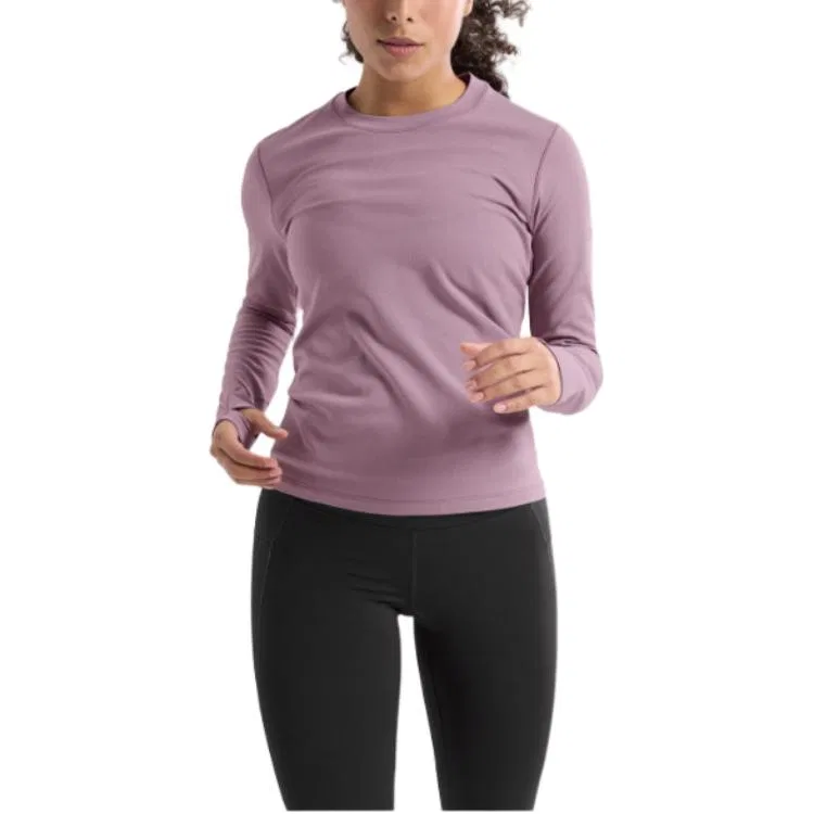Футболка Taema Series Arcteryx Interstellar Heather Purple Gray
