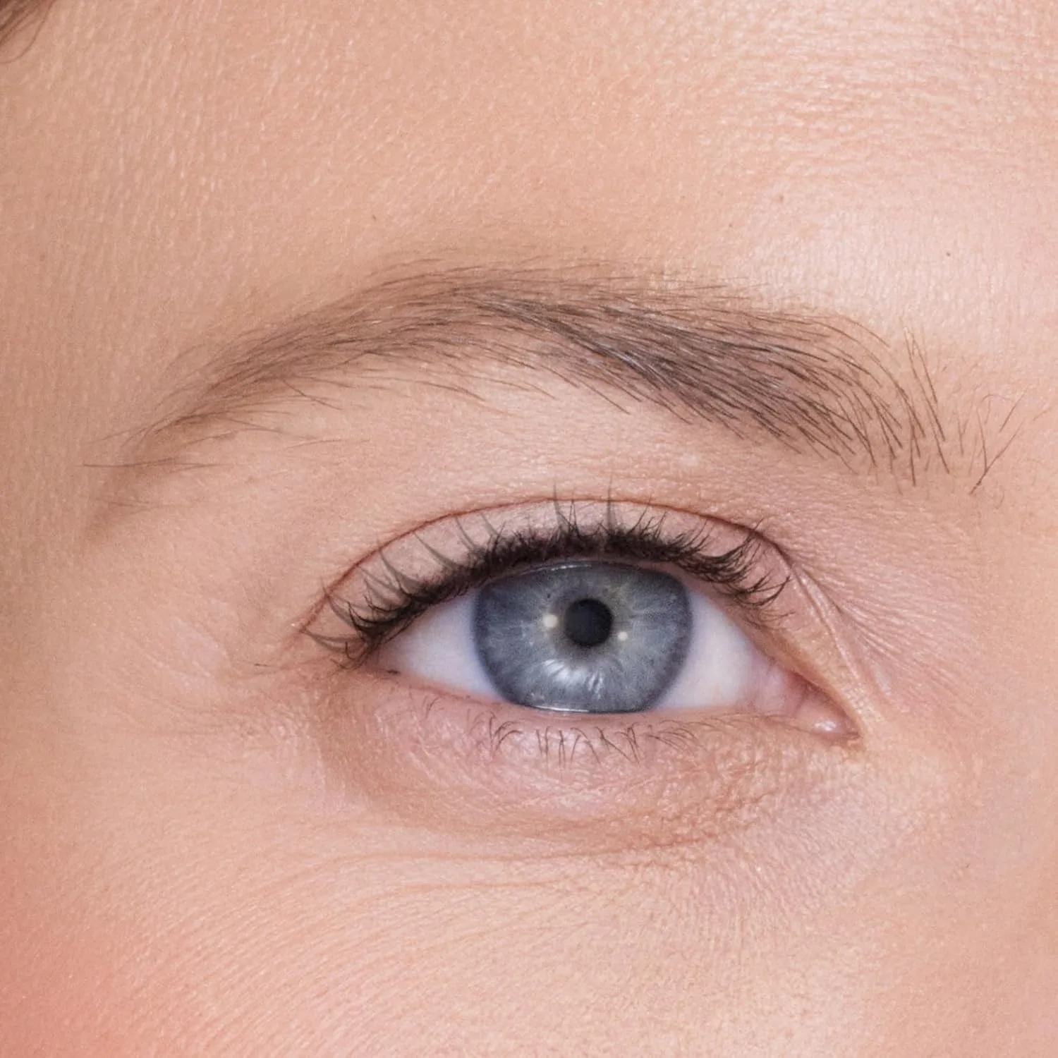 Коррекция бровей Trish McEvoy Fuller Brows, 0,1 г / 0,003 унции, Blonde — фото 3