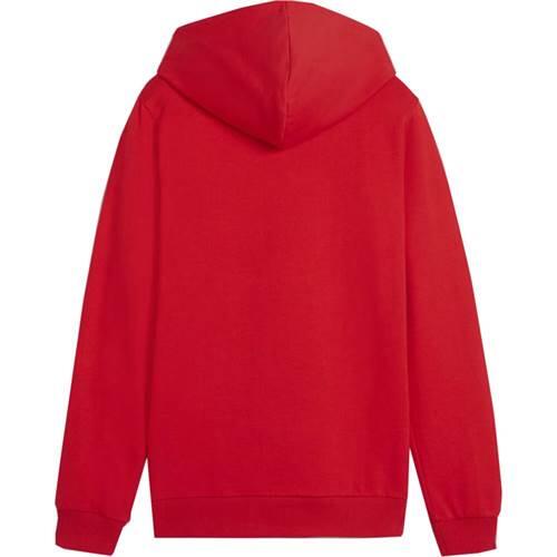 Толстовка с капюшоном PUMA Children's teamGOAL Casuals, пуловер 658619, красный — фото 2
