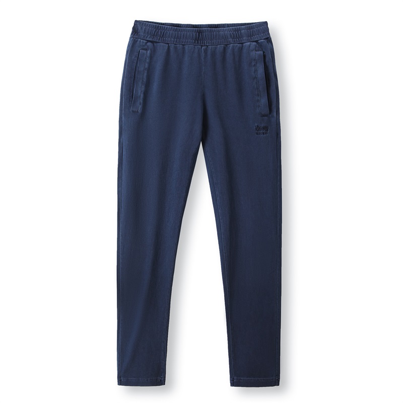 

Повседневные брюки мужские JEEP SPIRIT, синий