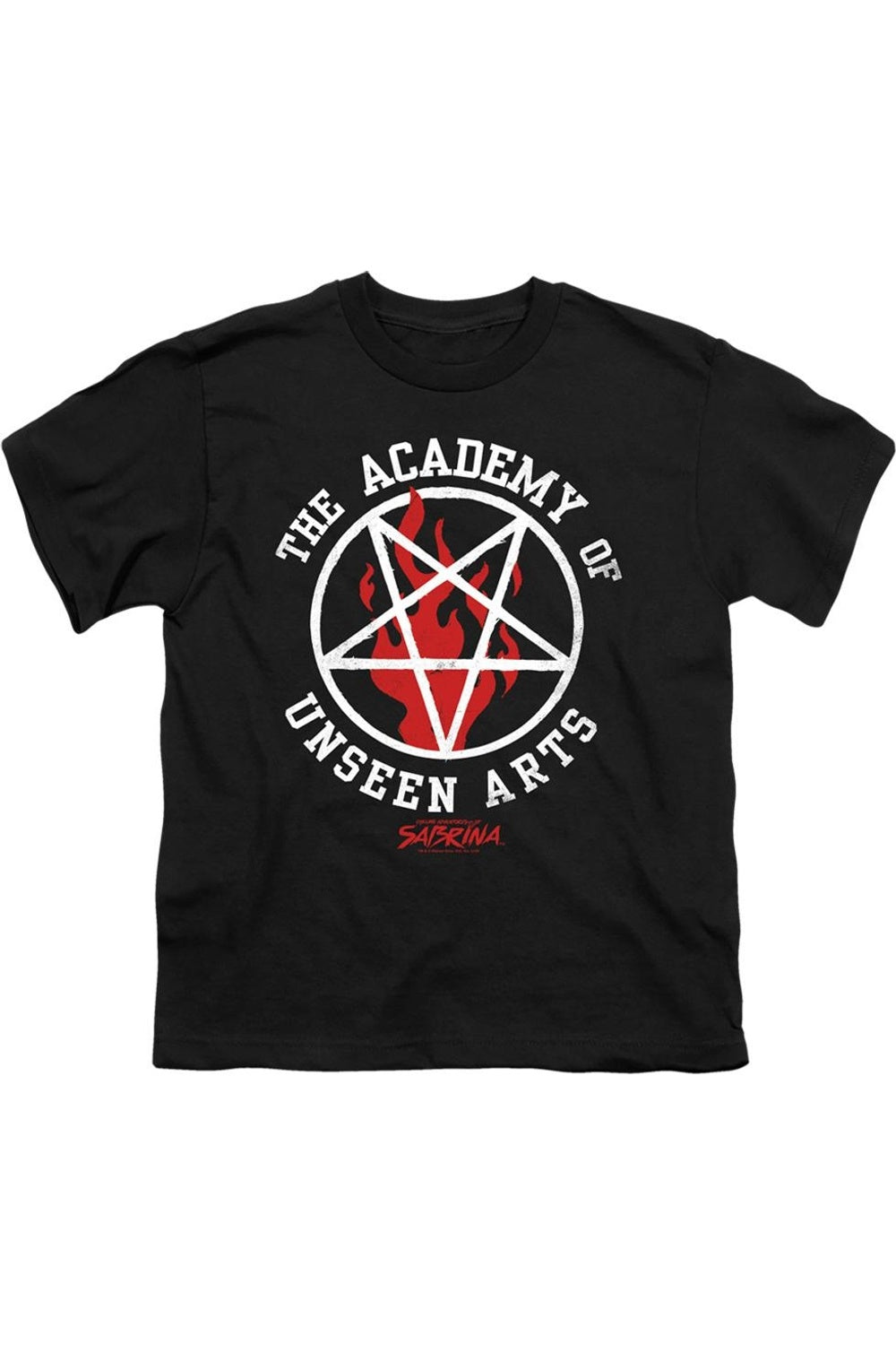 

Футболка с коротким рукавом для подростков "Chilling Adventures Of Sabrina: Академия невидимых искусств" Gildan, черный