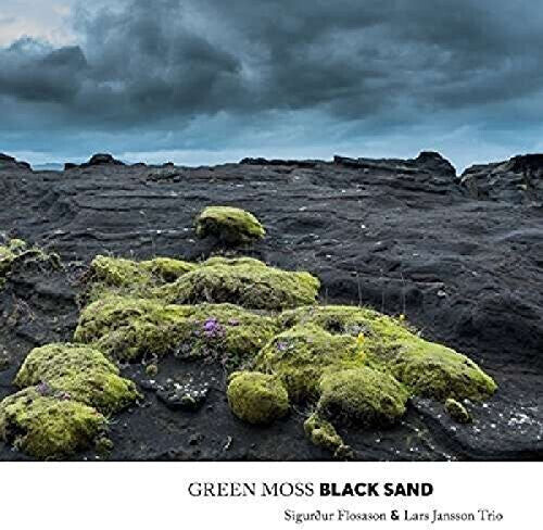 

CD диск Flosason: Green Moss Black Sand