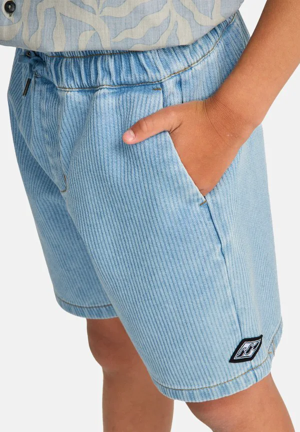 Спортивные шорты ларри Billabong, Dream Blue - Wash — фото 4
