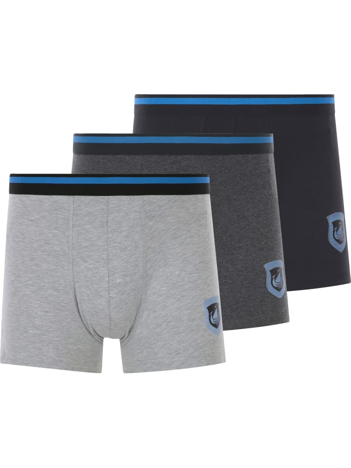 

Трусы Jan Vanderstorm 3er Pack Retropants VELJOR, серый