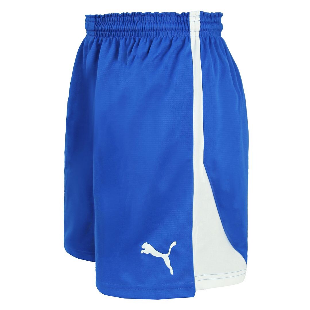 

V5 06 гандбол шорты Puma, синий