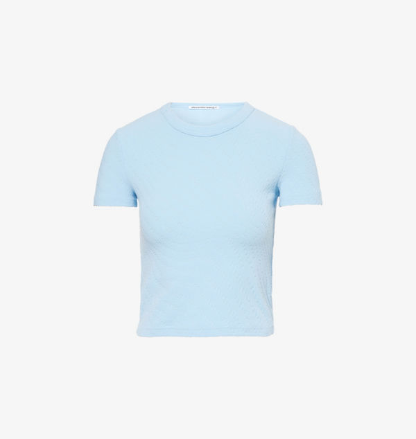 

Футболка с короткими рукавами из велюрового хлопкового трикотажа с надписью Brand-Text Alexander Wang, голубой