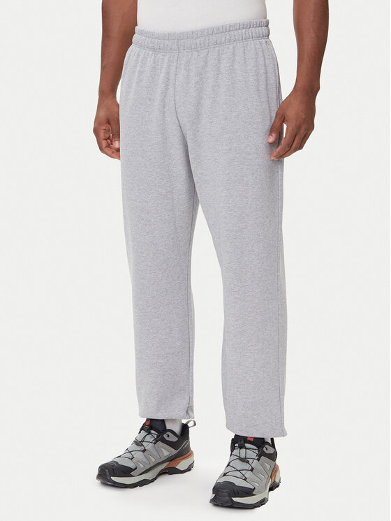 

Спортивные брюки relaxed fit Expedition Celebration NF0A8E3E The North Face, серый