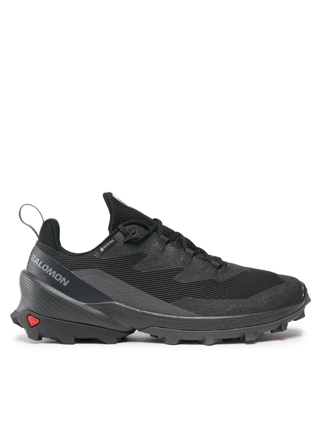

Треккинговые кроссовки Cross Over 2 GORE-TEX L47269000 Salomon, черный