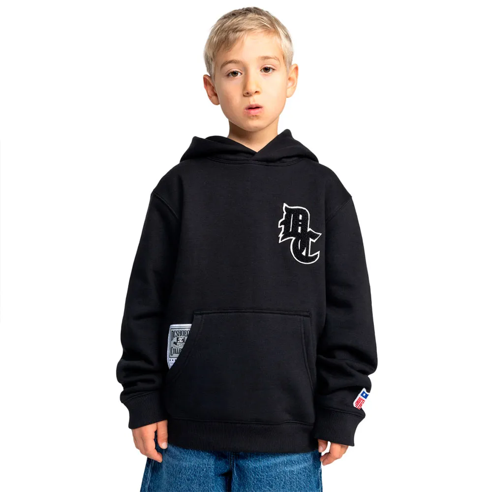 

Худи Dc Shoes Bullpen PH, черный