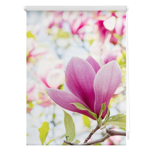 

Рулонные шторы Lichtblick Magnolie, 70x150x6 см, розовый