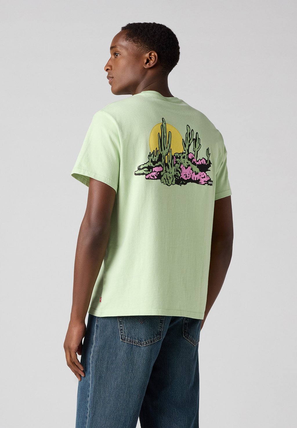 

Футболка с принтом RELAXED FIT TEE Levi's, светло-зеленый