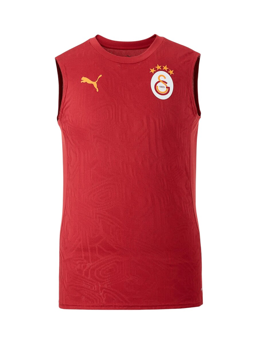 

Футболка Performance PUMA Galatasaray Istanbul, красный