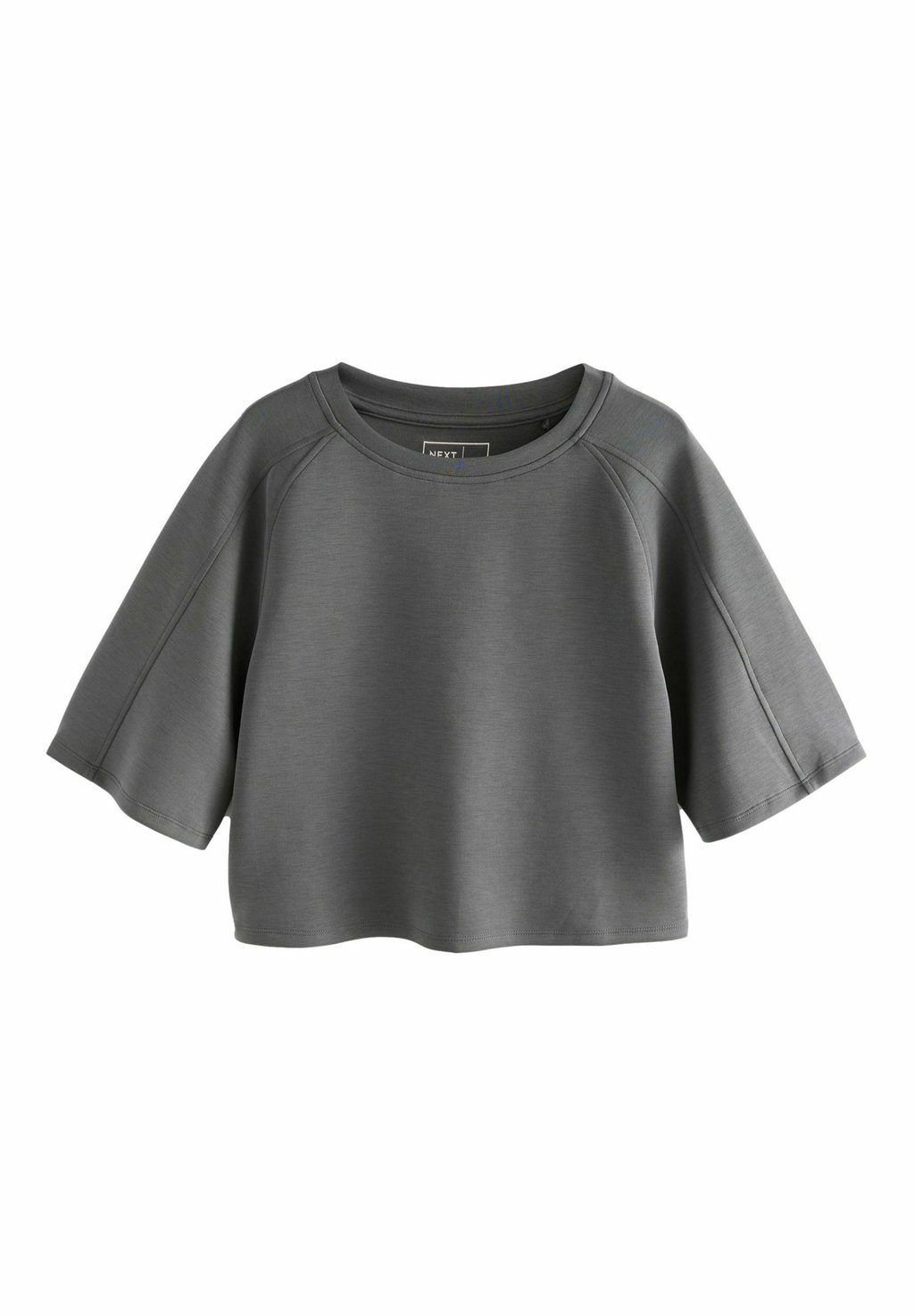

Базовая футболка REGULAR FIT - ACTIVE SUPERSOFT SHORT SLEEVE Next, серый