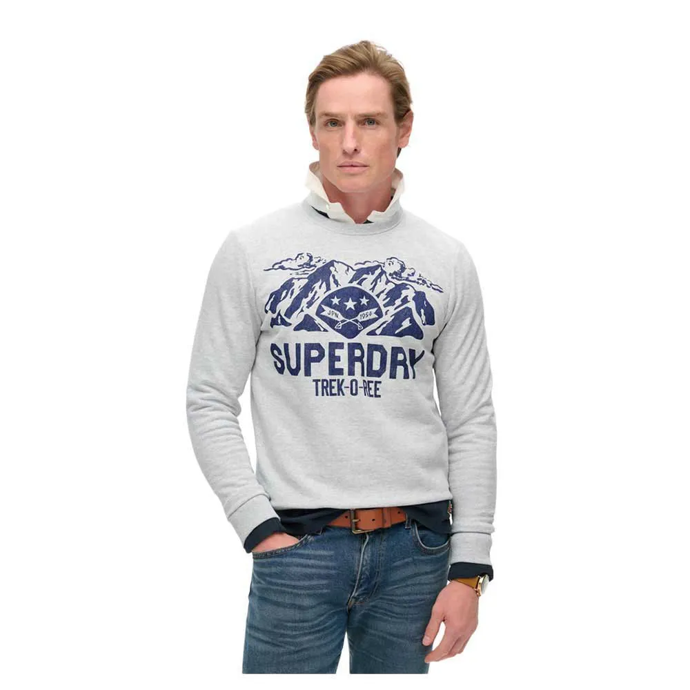 

Толстовка Superdry Lo-Fi Outdoors Graphic, серый