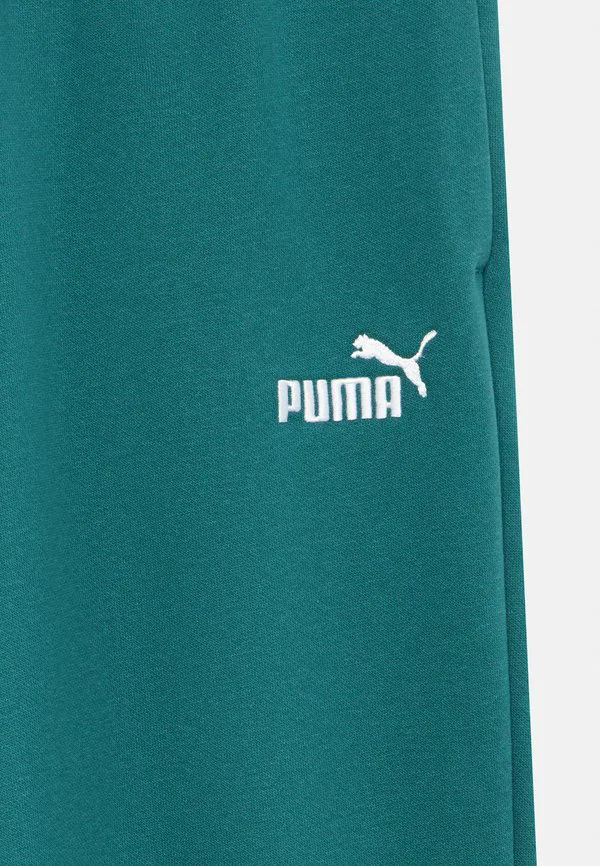 Спортивные штаны с логотипом Puma, Emerald Ice — фото 4
