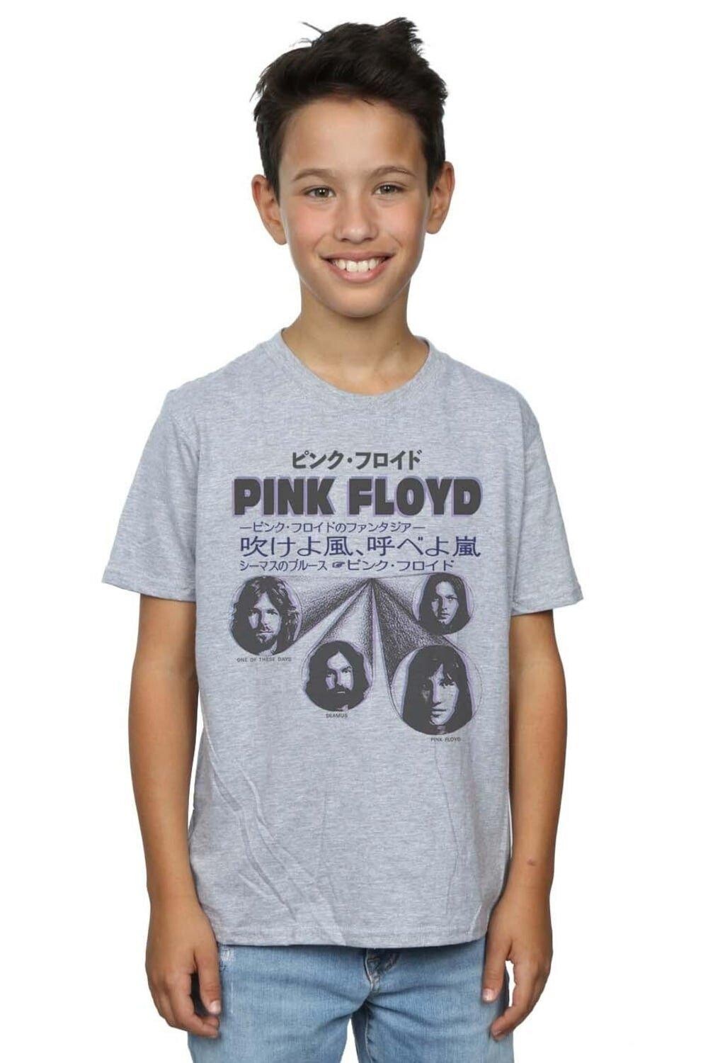 

Чехол для футболки Pink Floyd, серый