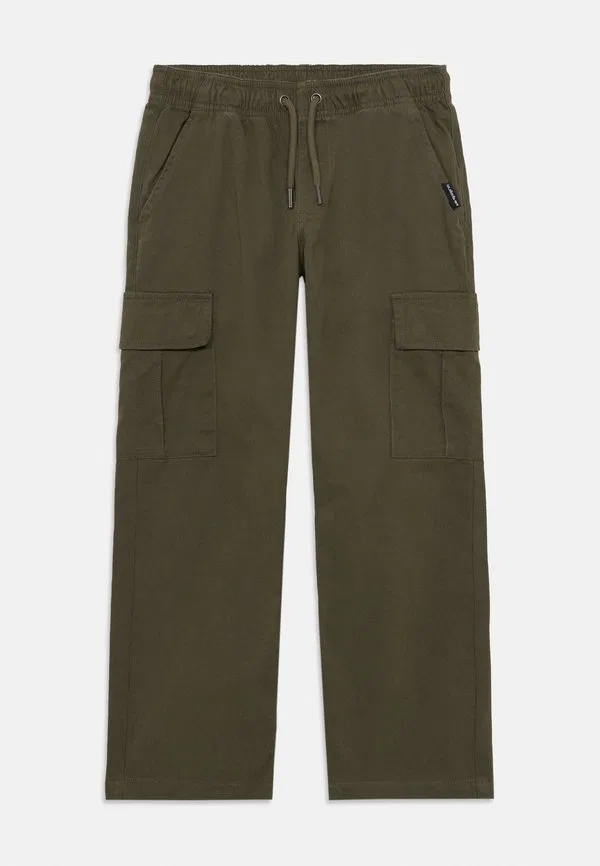 Брюки-Карго taxer Quiksilver, Grape Leaf