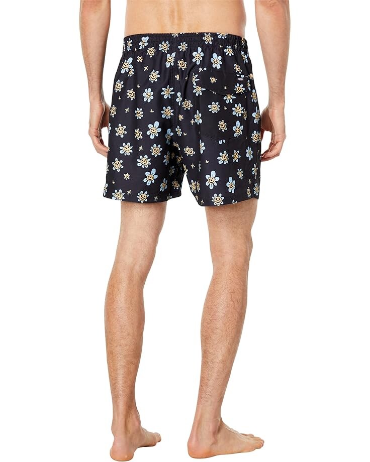 

Шорты для плавания Vans Mixed Volley Boardshorts, цвет Black/Cashmere Blue