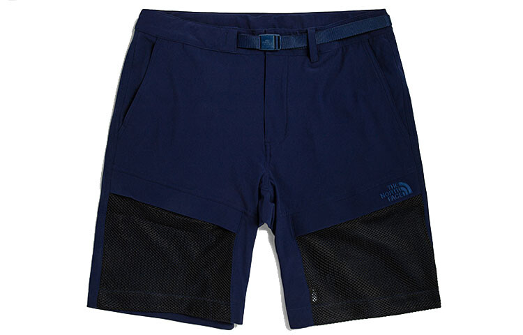 

THE NORTH FACE Мужские повседневные шорты, цвет Blue