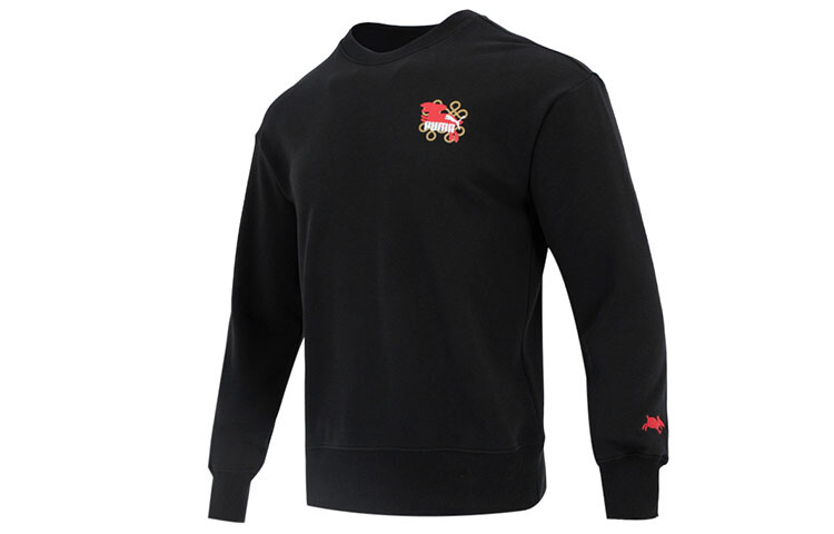 

Мужская толстовка Puma, цвет Black