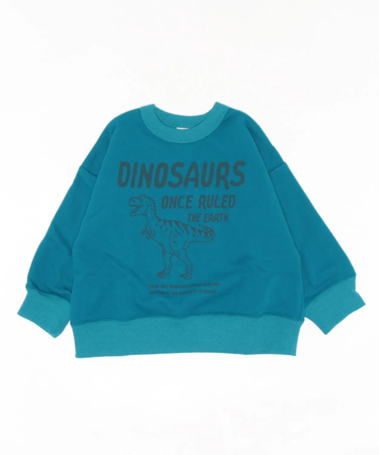 Свитшот с принтом динозавра Warm Sweat бренда DINOSAUR LOGO, бирюзовый