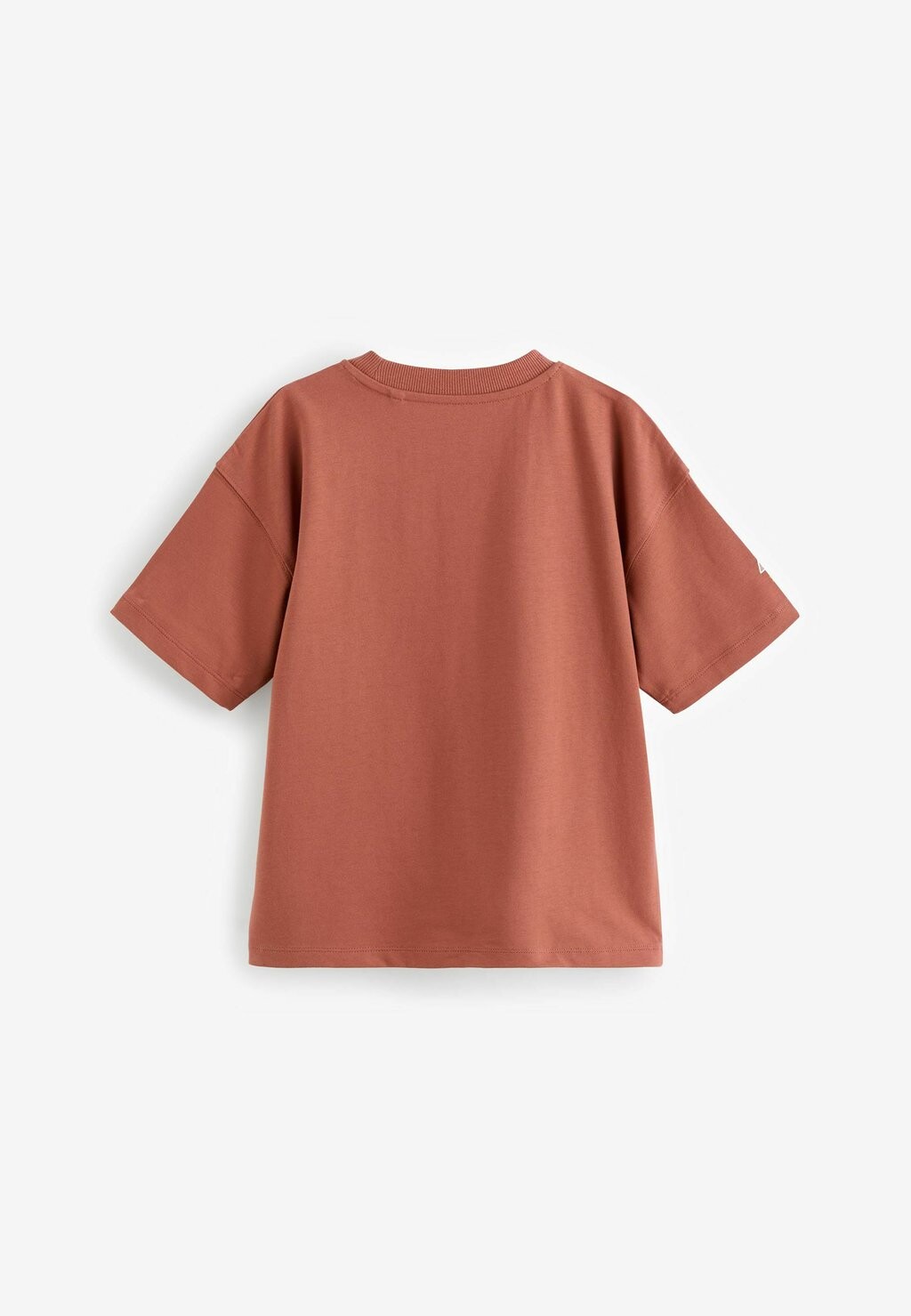 

Футболка RELAXED FIT SHORT SLEEVE GRAPHIC STANDARD Next, оранжевый