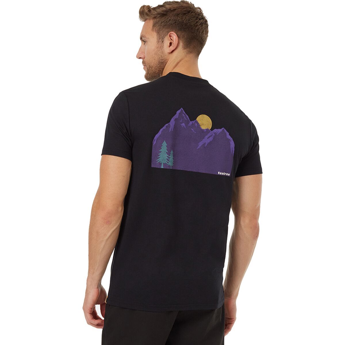 

Футболка Sunset Mountain Tentree, мультиколор