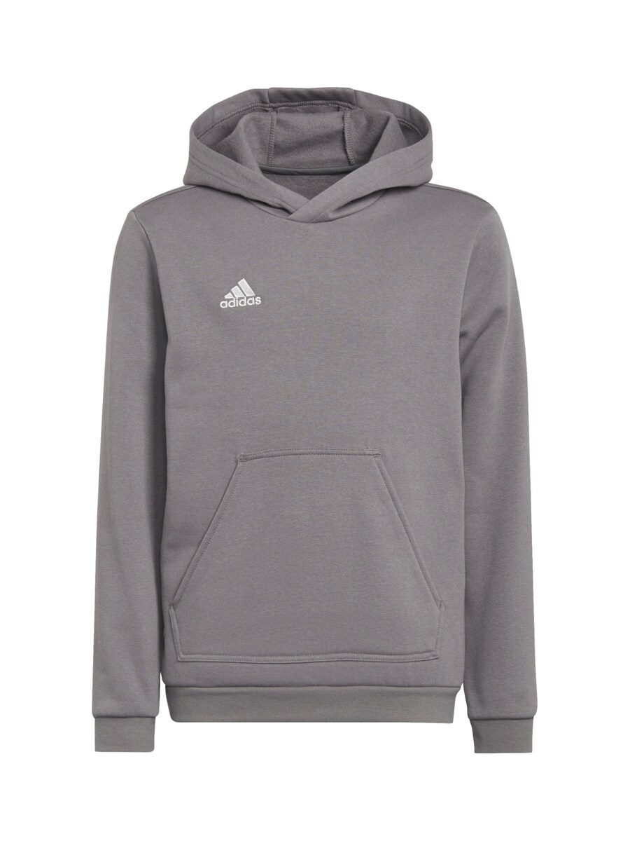 

Худи ADIDAS PERFORMANCE Athletic Sweatshirt Entrada 22 Sweat, пятнистый серый