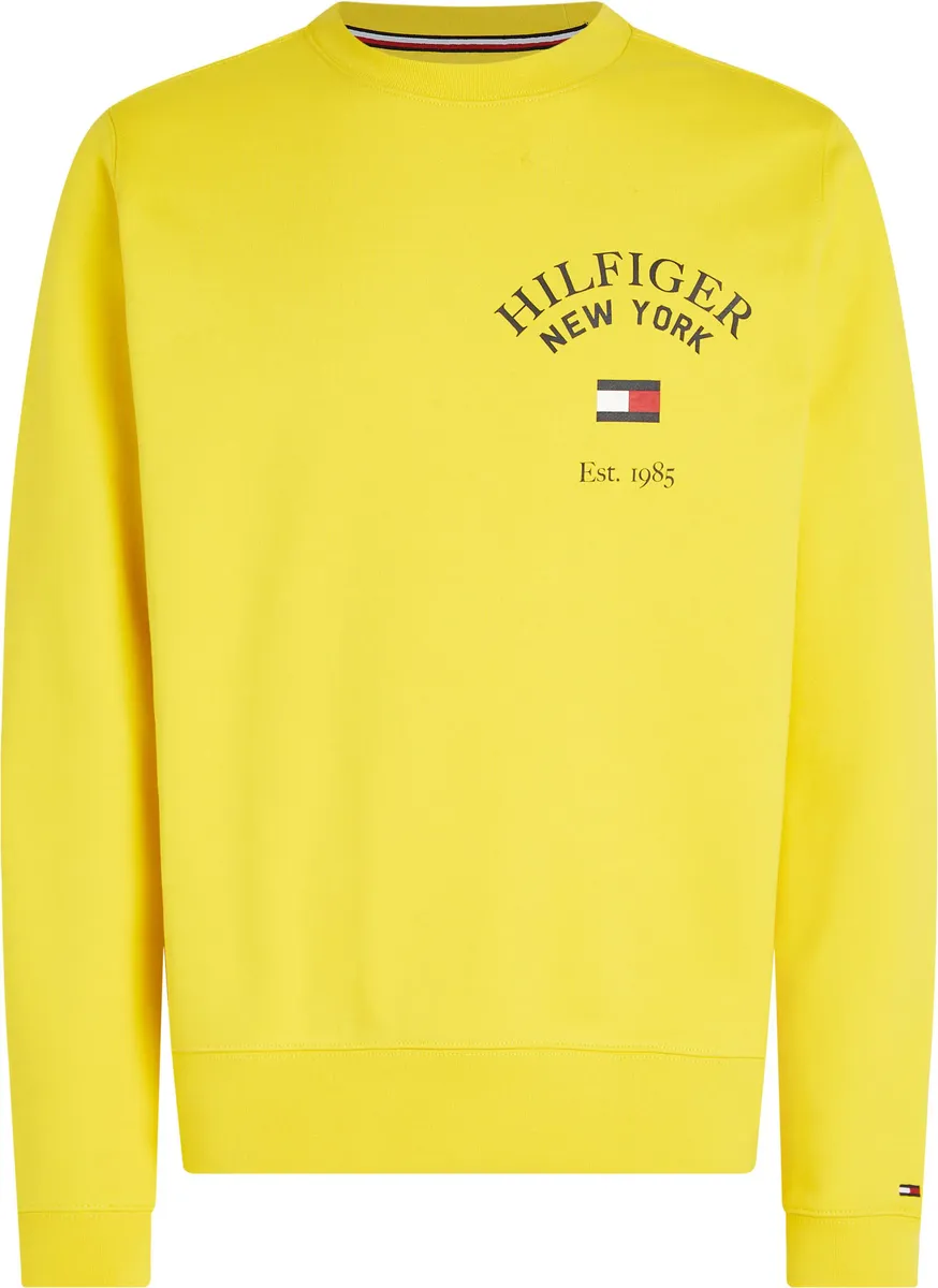 

Толстовка Tommy Hilfiger "WCC ARCHED VARSITY SWEATSHIRT" с модным принтом логотипа на груди, желтый